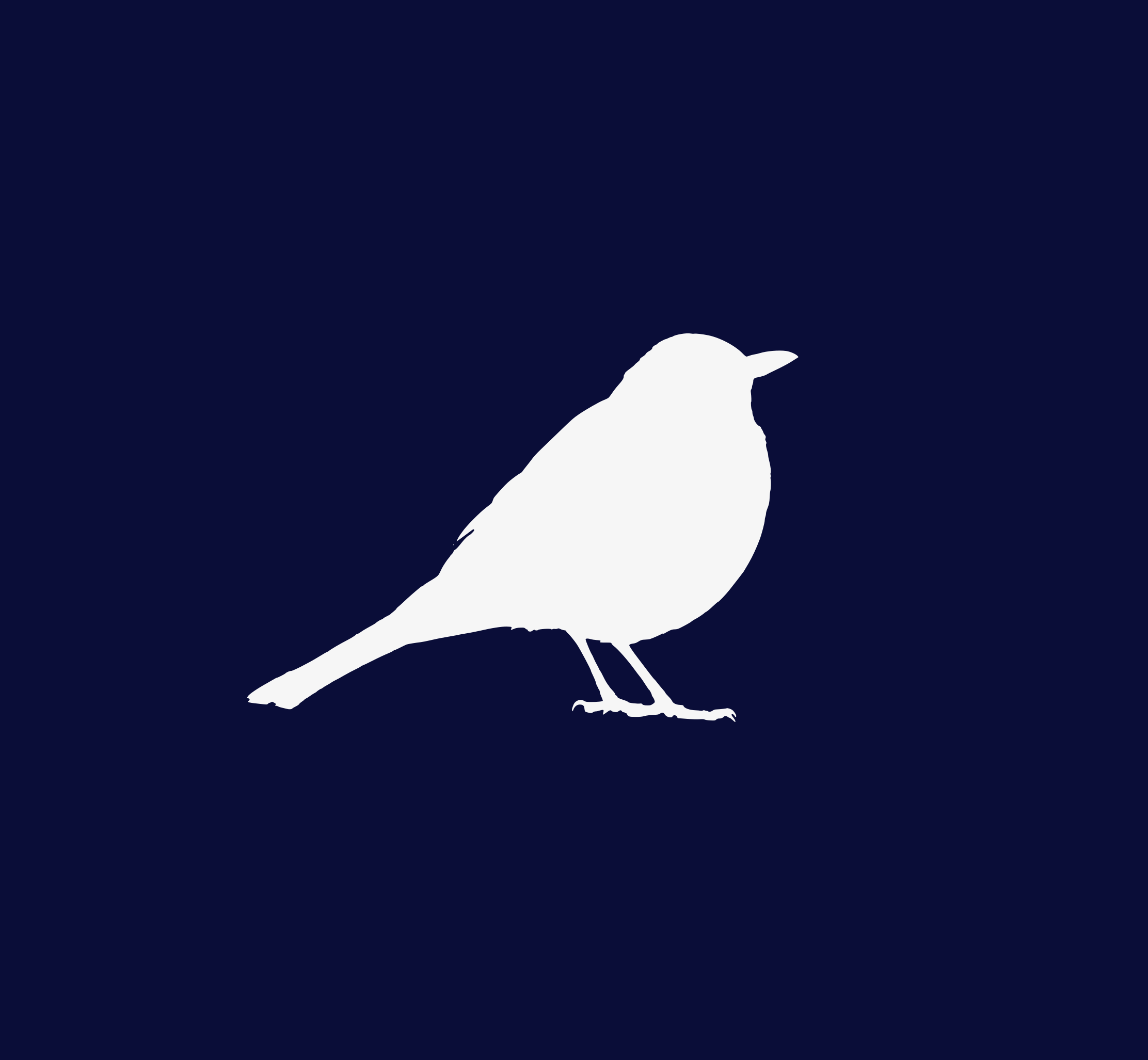 Entuplet bird logo